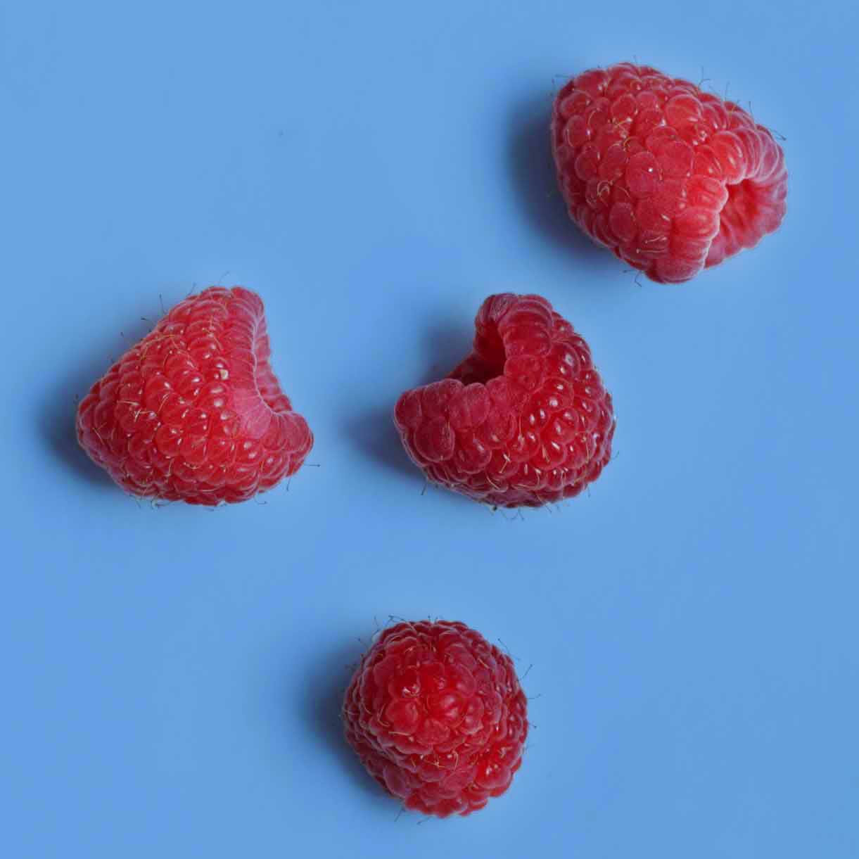 Penny Juice Healthy Natural Flavors - Blue Raspberry Flavor