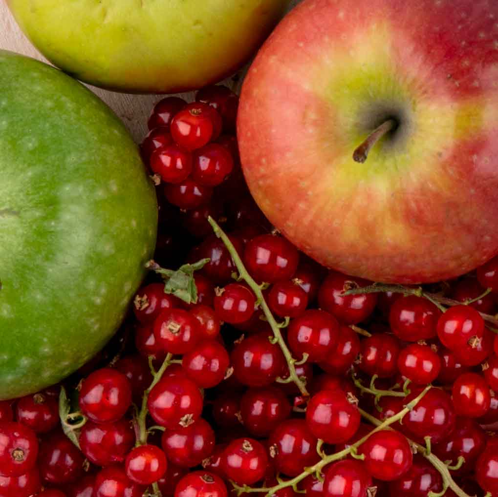Penny Juice Healthy Natural Flavors - Apple Flavor